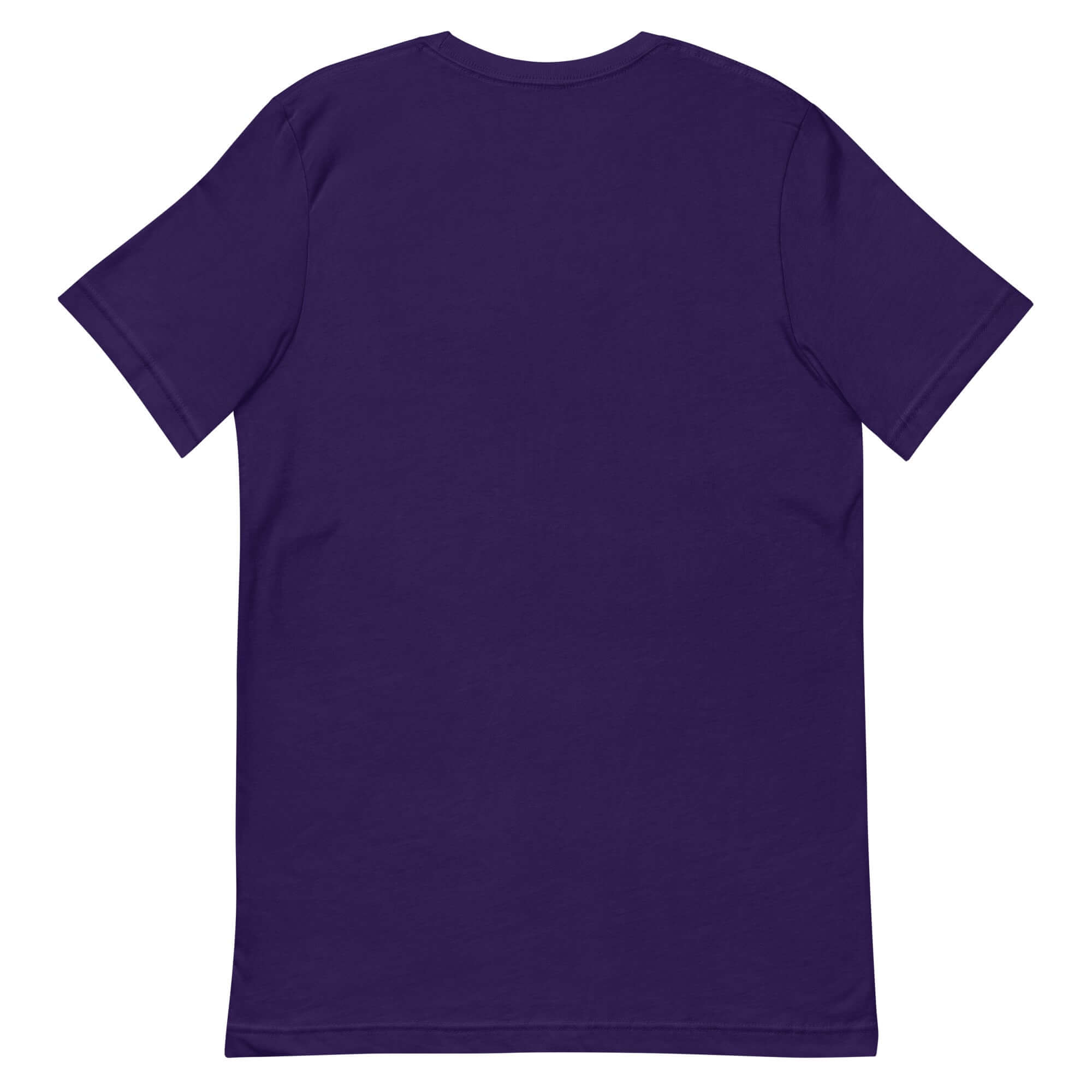 Back view of a purple unisex t-shirt featuring a relaxed fit and short sleeves.